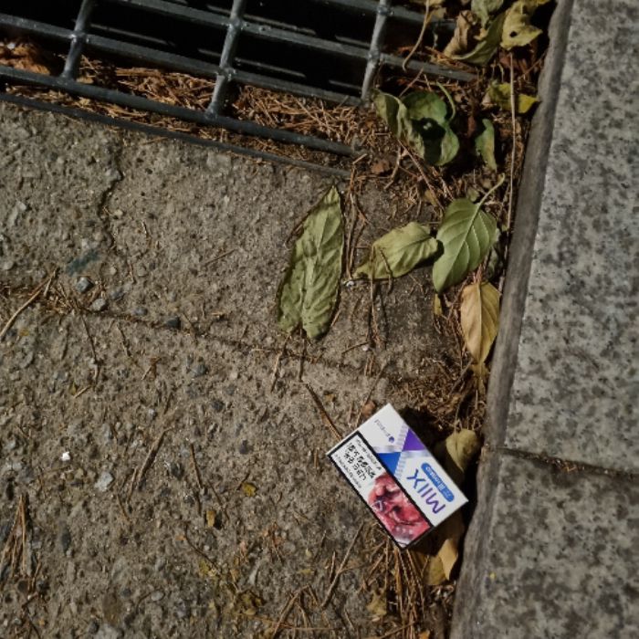 냐냔뇨뇨 사진 4
