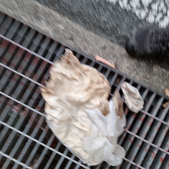 활불 사진 7