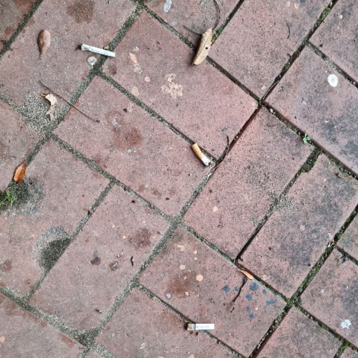 활불 사진 5