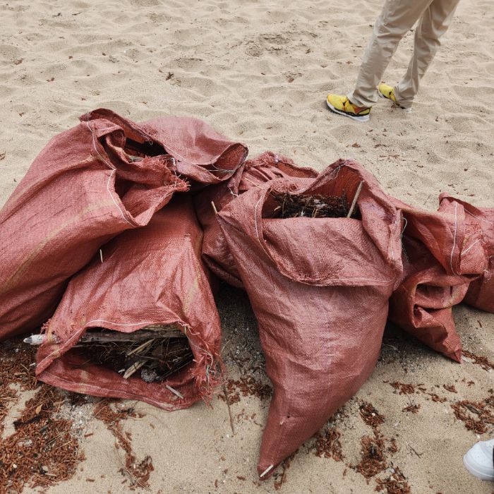  영덕군.동네.쓰레기.플로깅