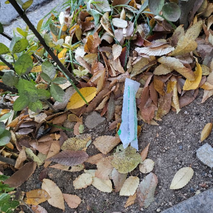 냐냔뇨뇨 사진 6