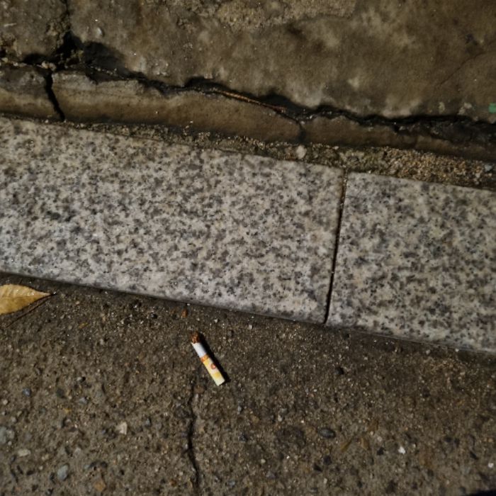 냐냔뇨뇨 사진 13