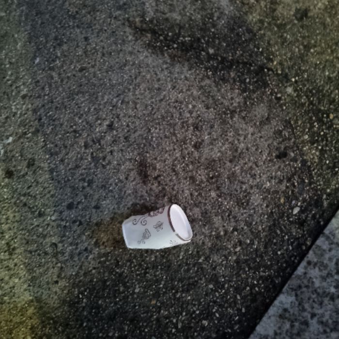 냐냔뇨뇨 사진 12