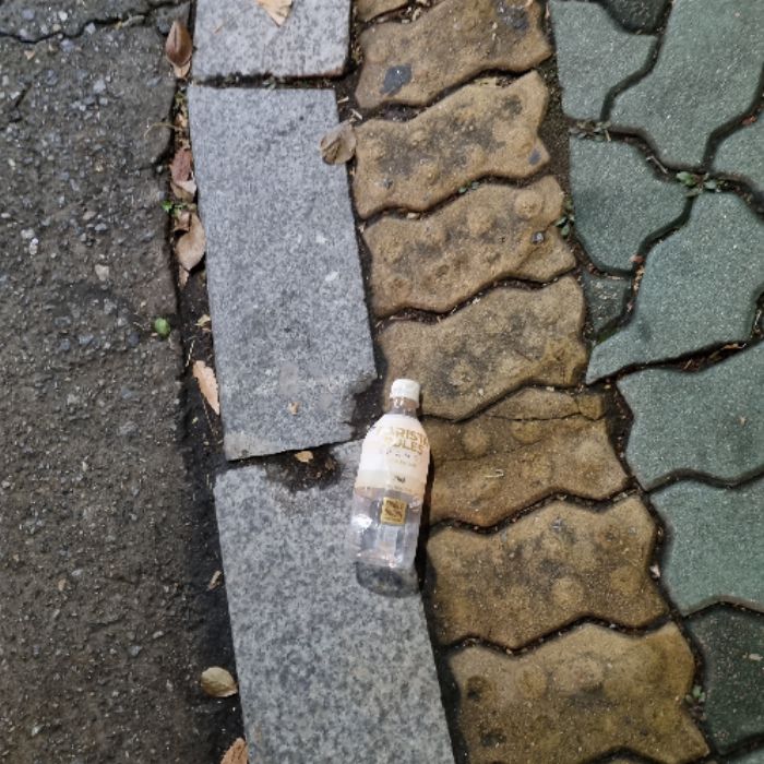 냐냔뇨뇨 사진 8