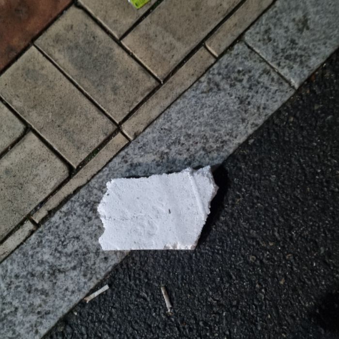 냐냔뇨뇨 사진 7