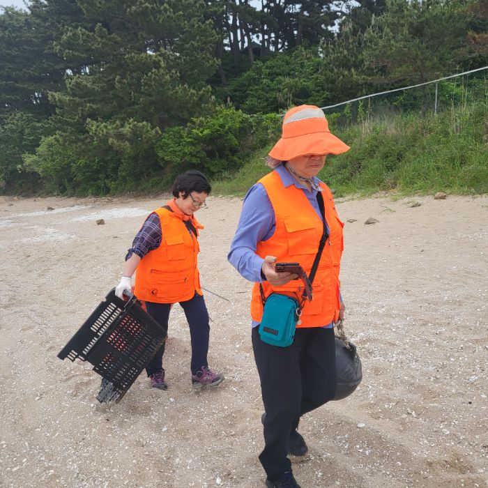 실미해변 정화 사진 5