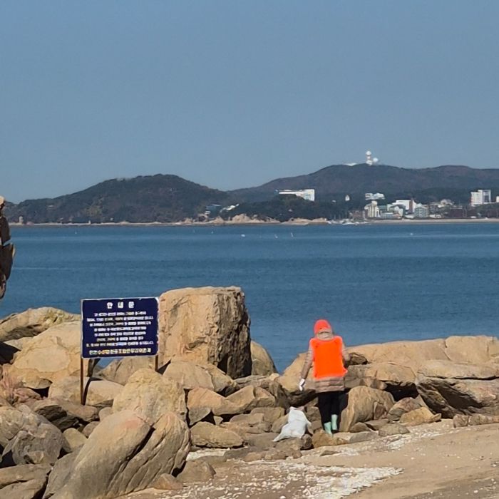 실미해변 정화 사진 4