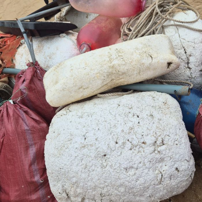 실미해변 정화 사진