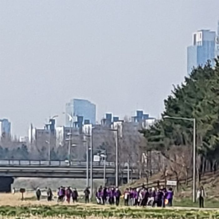 풋사과 사진 5