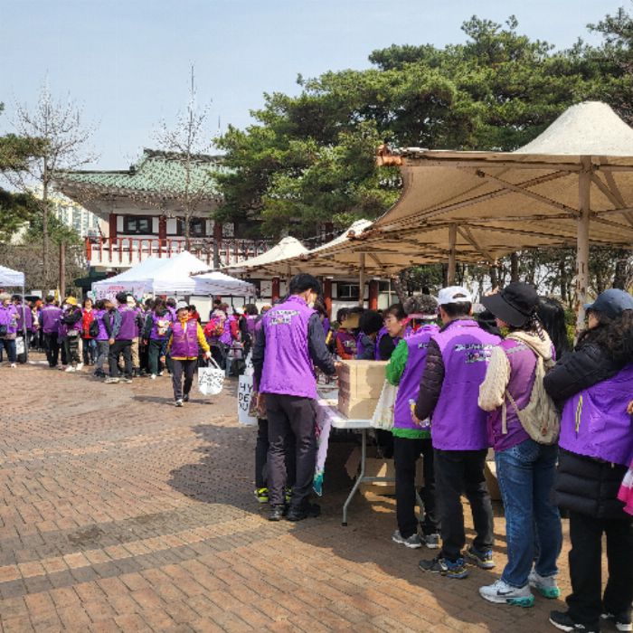 풋사과 사진 2