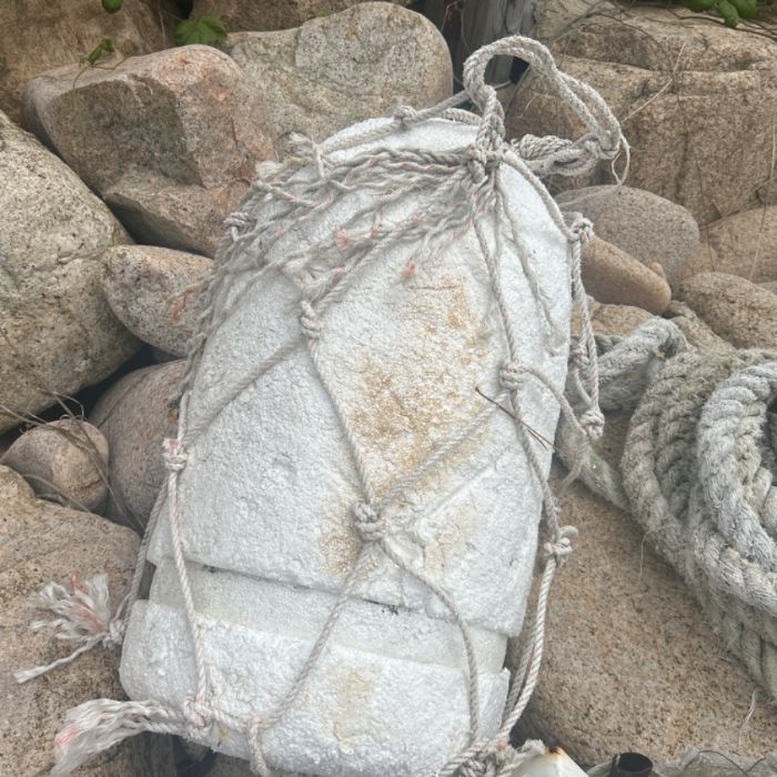 왕산해수욕장 정화 사진 3