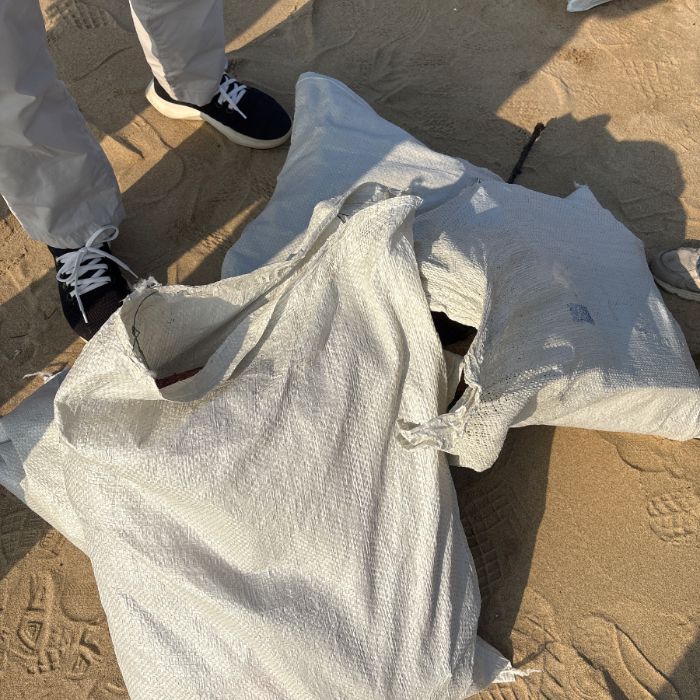 왕산해수욕장 정화 사진