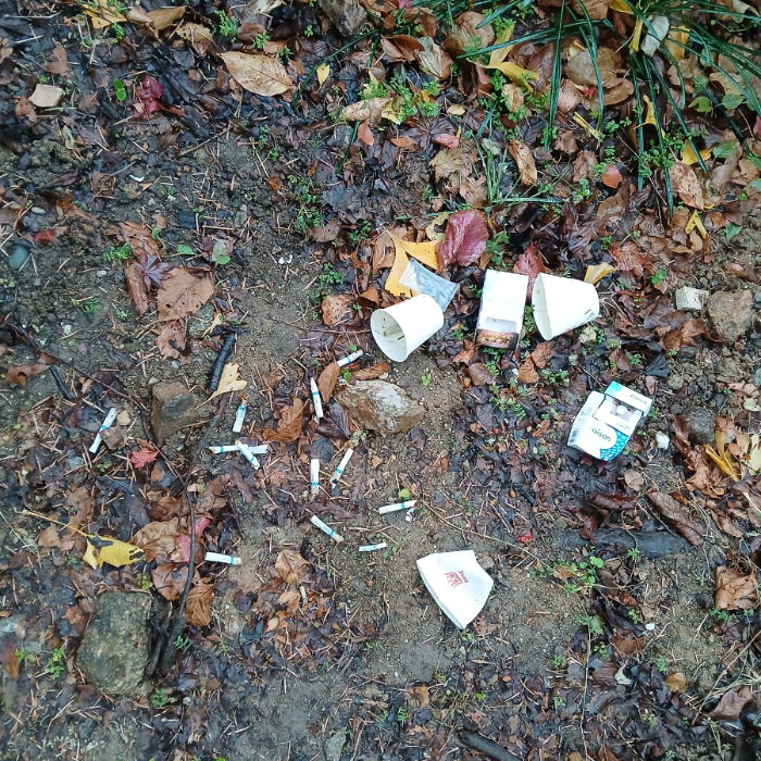  광양시.동네.쓰레기.플로깅