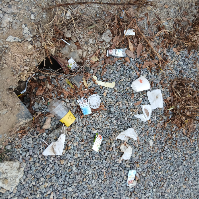  광양시.동네.쓰레기.플로깅