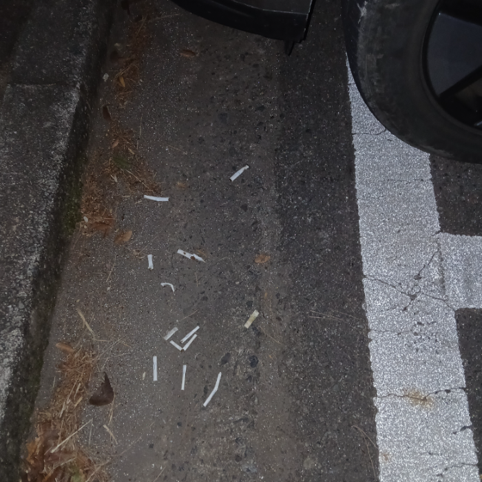  광양시.동네.쓰레기.플로깅