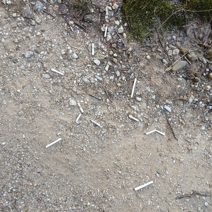  광양시.동네.쓰레기.플로깅