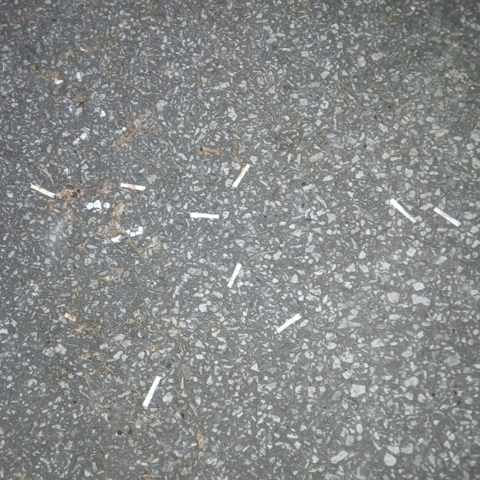  광양시.동네.쓰레기.플로깅