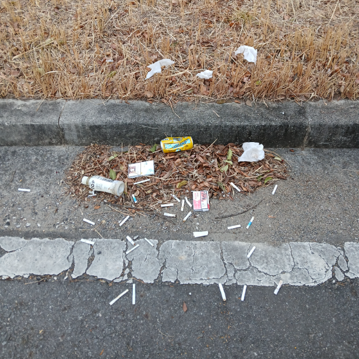  광양시.동네.쓰레기.플로깅