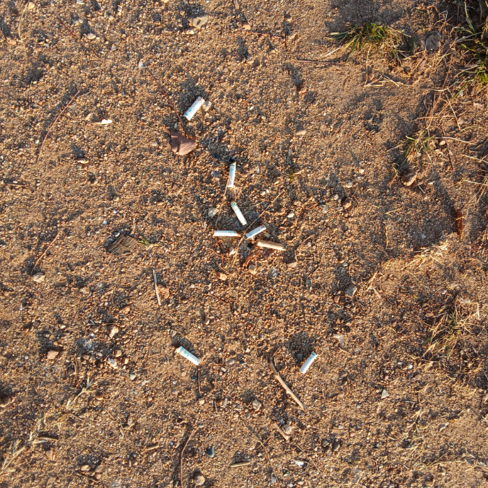  광양시.동네.쓰레기.플로깅