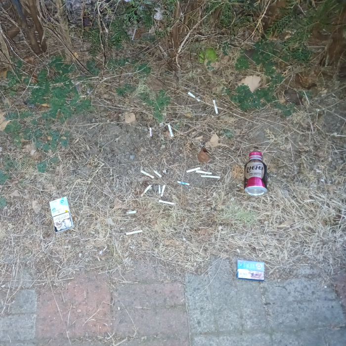  광양시.동네.쓰레기.플로깅