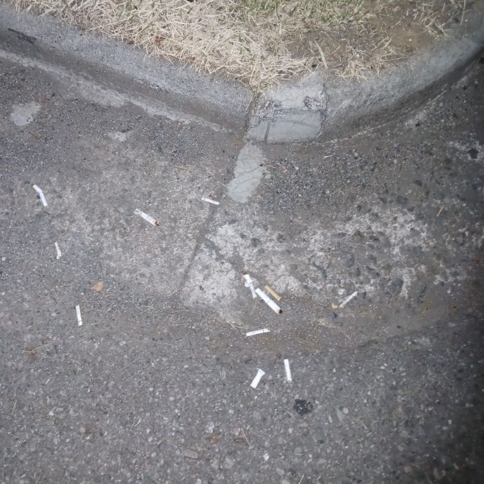  광양시.동네.쓰레기.플로깅