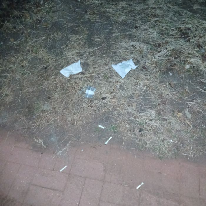  광양시.동네.쓰레기.플로깅