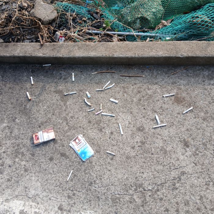  광양시.동네.쓰레기.플로깅