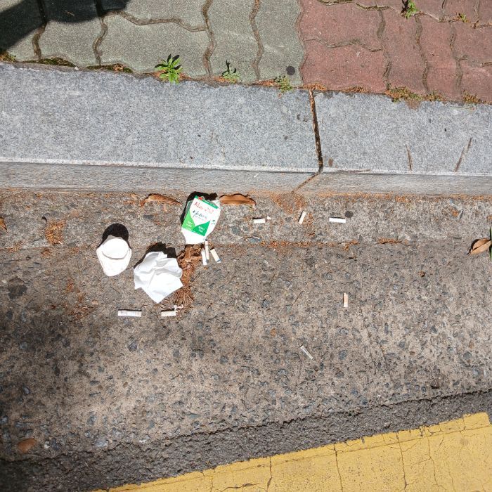  광양시.동네.쓰레기.플로깅