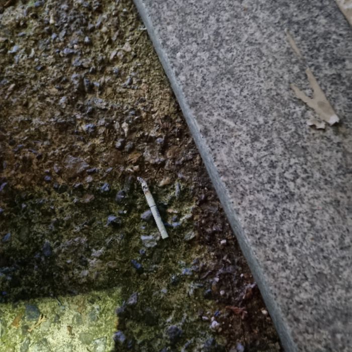 냐냔뇨뇨 사진 19