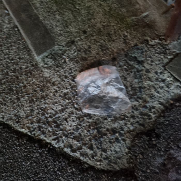 냐냔뇨뇨 사진 6