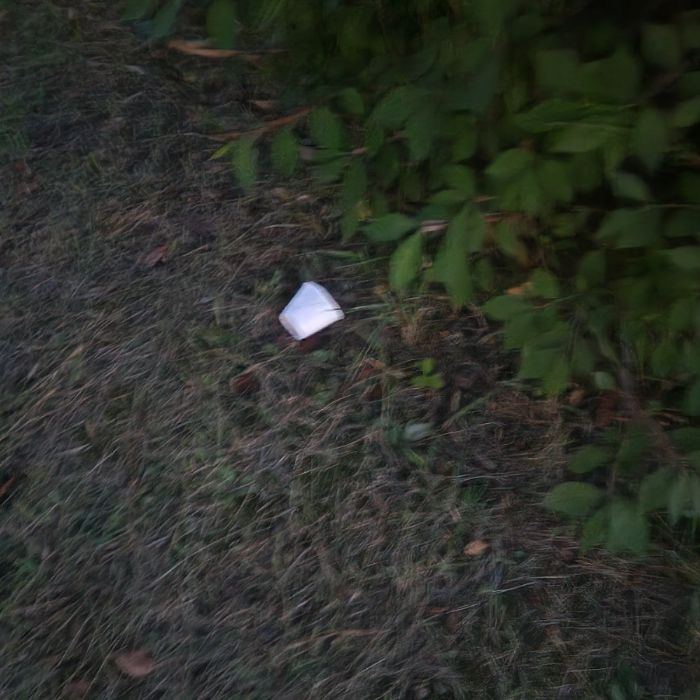  진주시.동네.쓰레기.플로깅