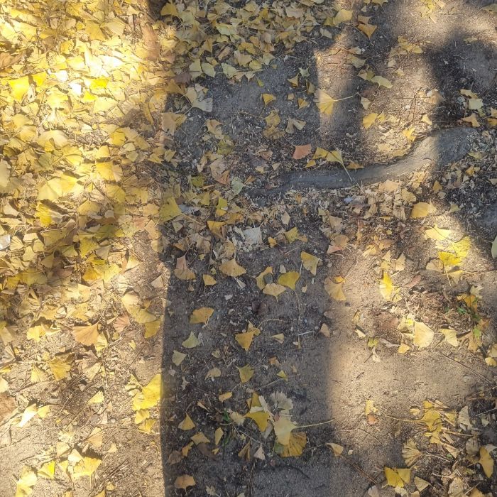  창원시.동네.쓰레기.플로깅