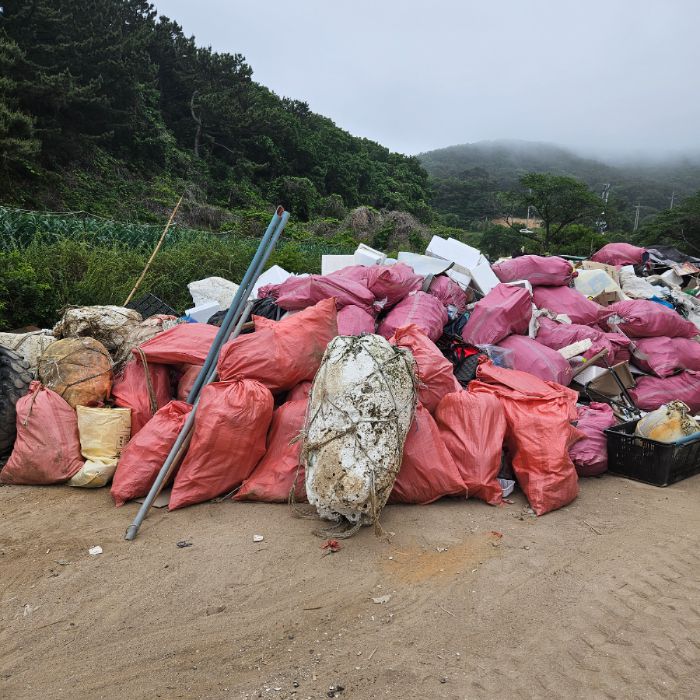 실미해변 정화 사진