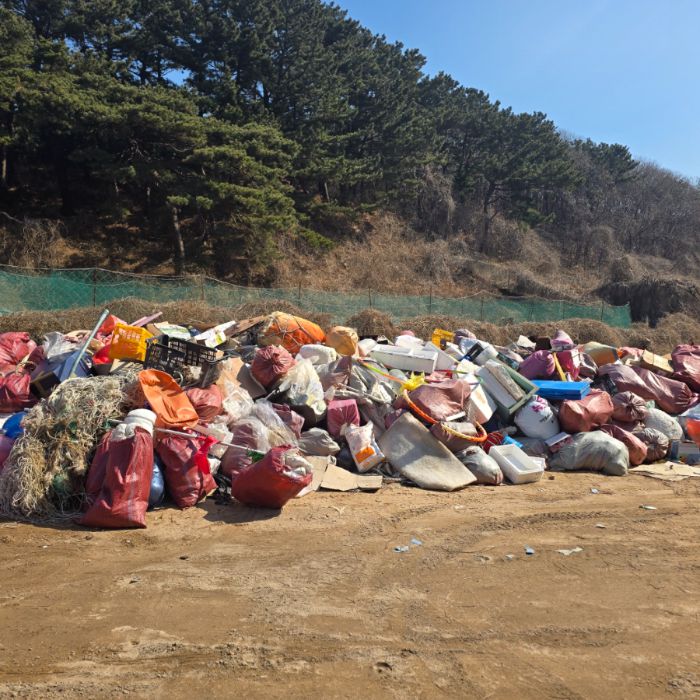 실미해변 정화 사진