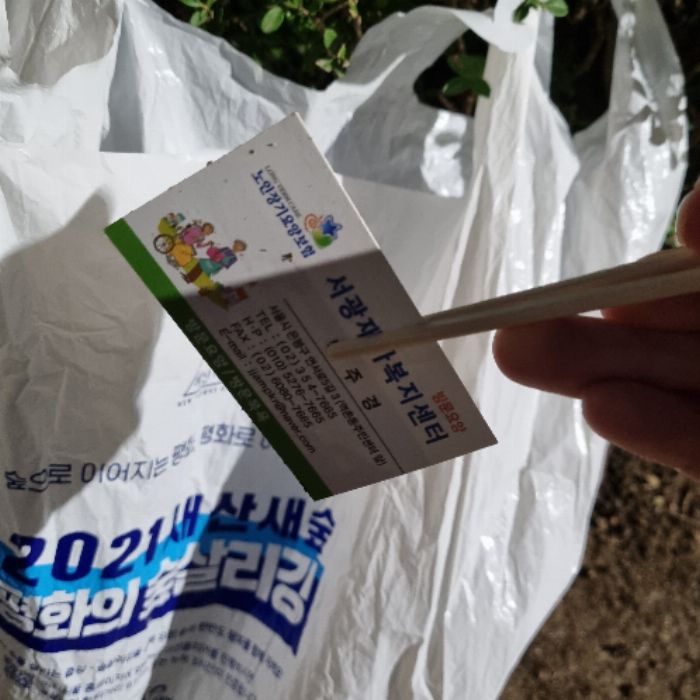 상디 사진 2