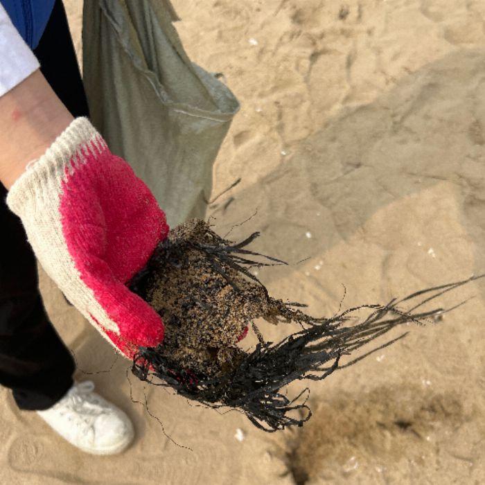 왕산해수욕장 정화 사진 2