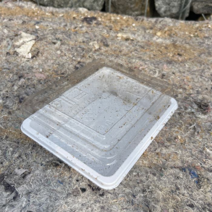 왕산해수욕장 정화 사진 3