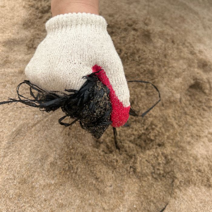 왕산해수욕장 정화 사진 5