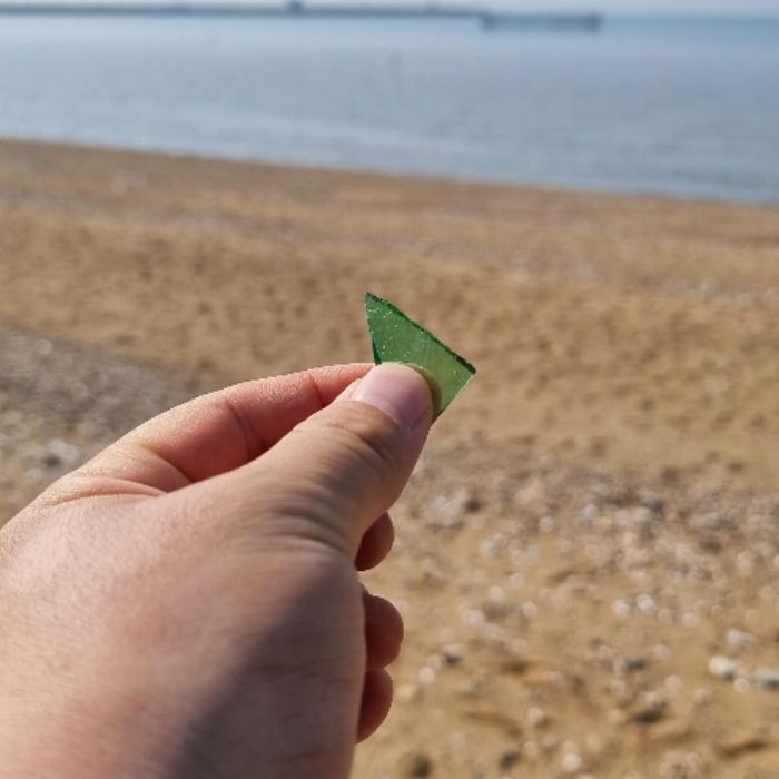궁평리해변 정화 사진 9