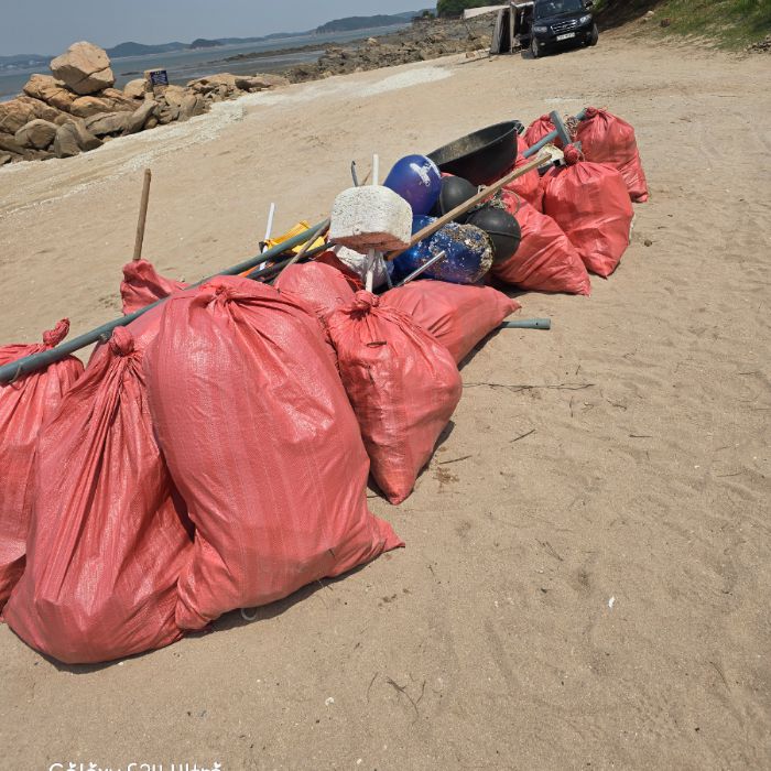 실미해변 정화 사진