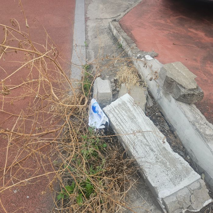  칠곡군.동네.쓰레기.플로깅