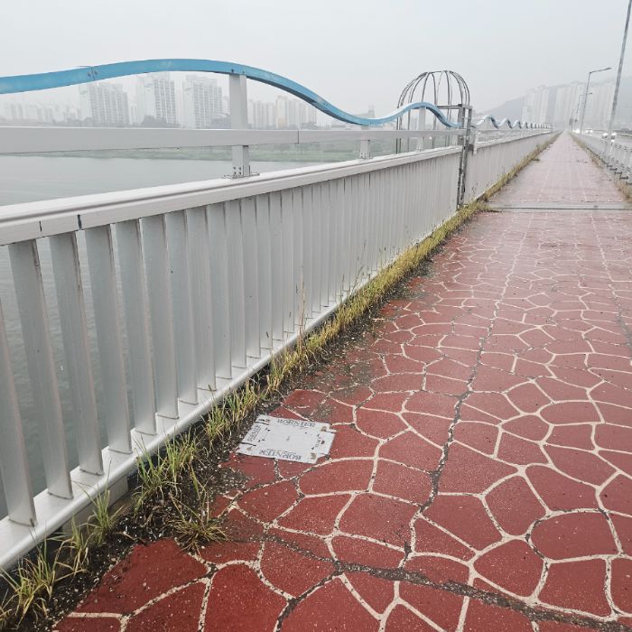  칠곡군.동네.쓰레기.플로깅