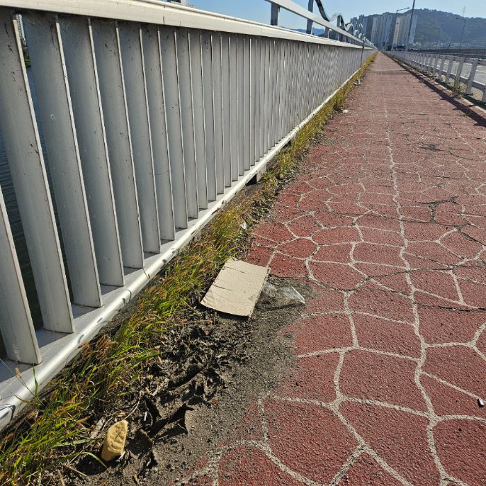  칠곡군.동네.쓰레기.플로깅