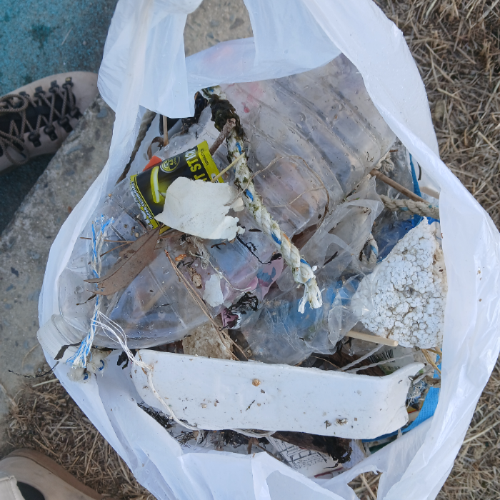  통영시.동네.쓰레기.플로깅