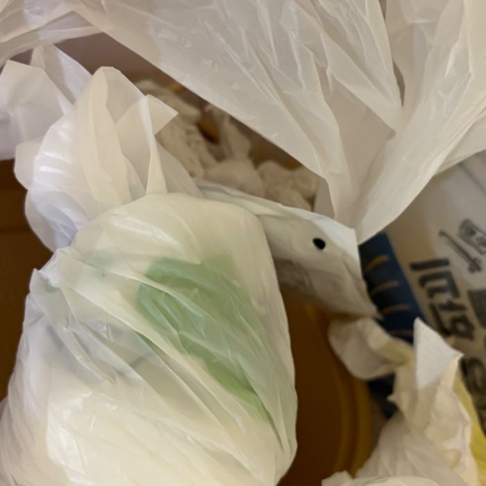  포항시.동네.쓰레기.플로깅