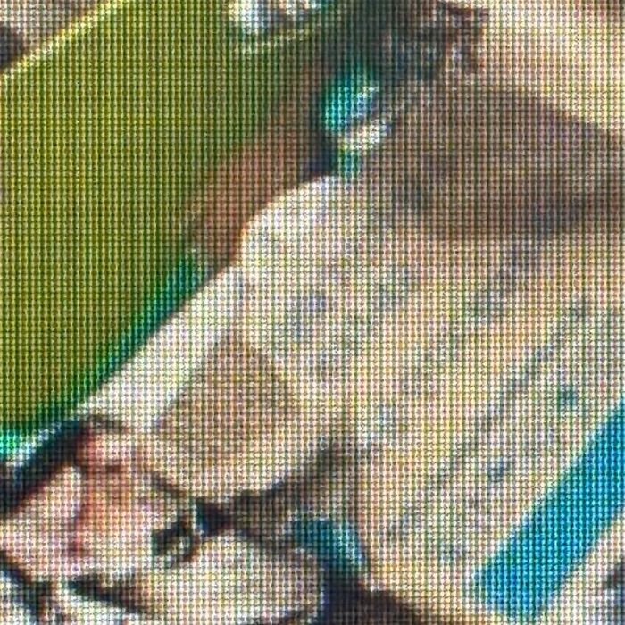  포항시.동네.쓰레기.플로깅