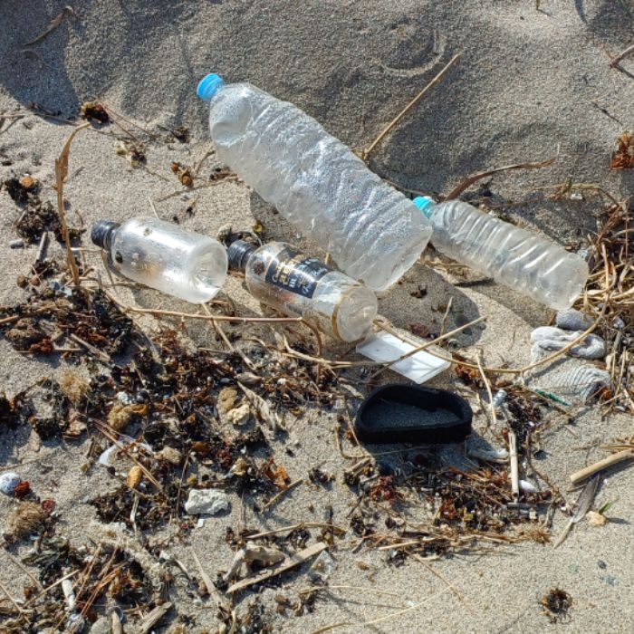  울진군.동네.쓰레기.플로깅