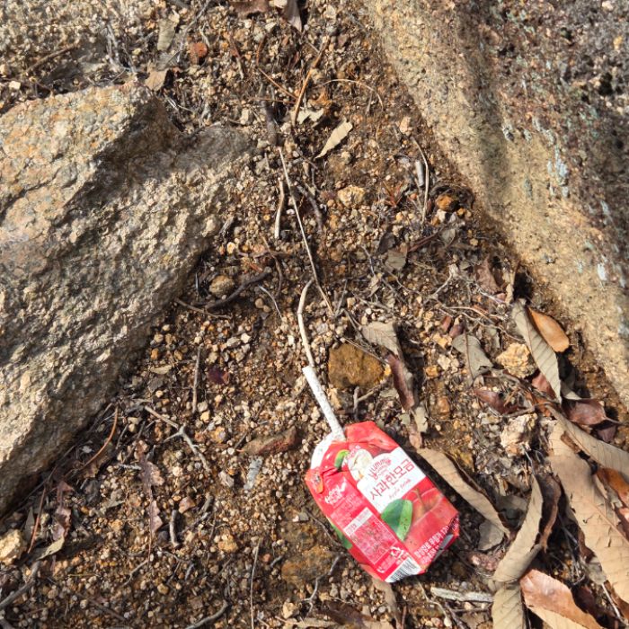  강진군.동네.쓰레기.플로깅