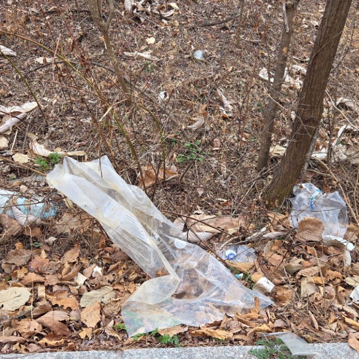  용인시.동네.쓰레기.플로깅