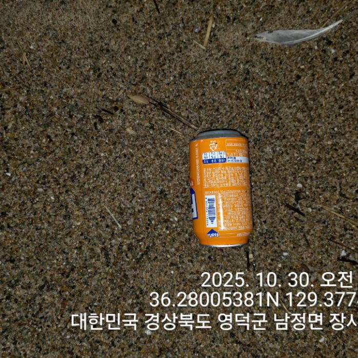  영덕군.동네.쓰레기.플로깅
